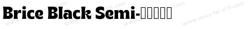 Brice Black Semi字体转换